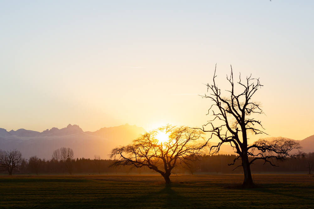 Lauteracherried im Jänner 98